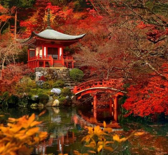 粉象生活怎么赚钱