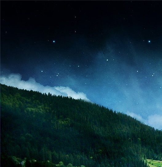 镇江粉象生活积分