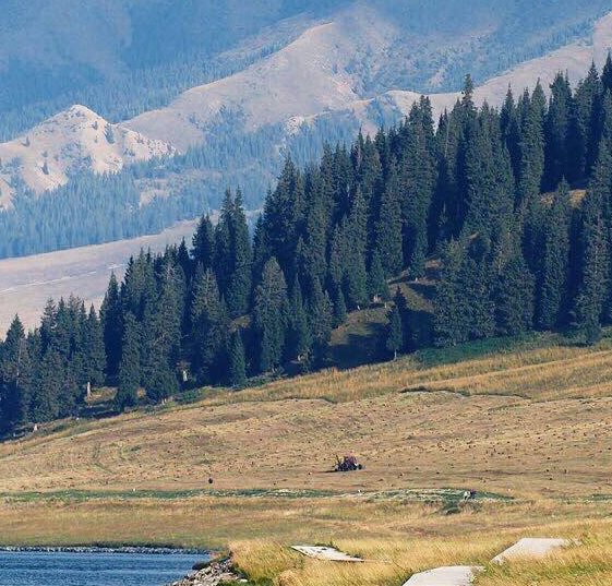 粉象生活怎么推广引流加粉丝