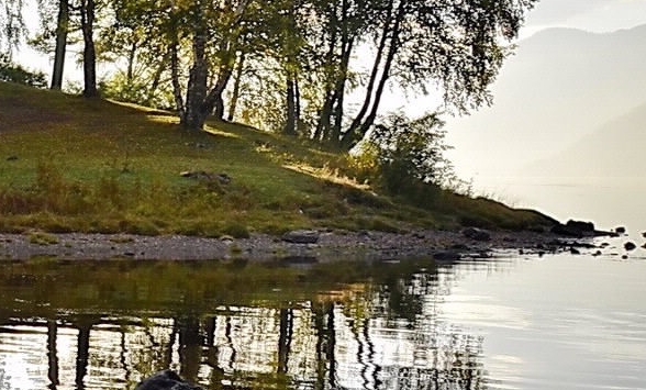在粉象生活上领优惠券