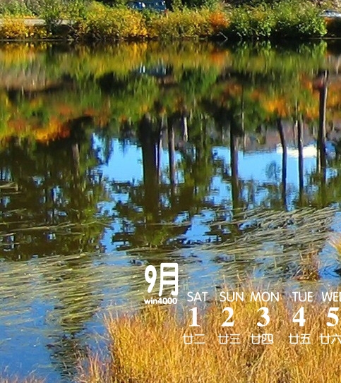 粉象生活邀请码是什么意思
