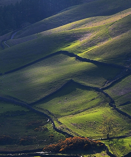 粉象生活送的东西怎么查看