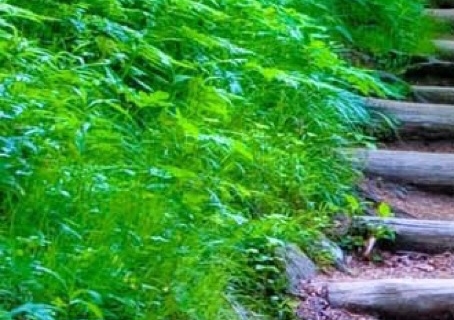 粉象生活的佣金从哪来