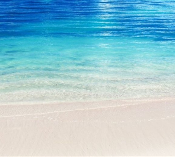 粉象生活怎么玩