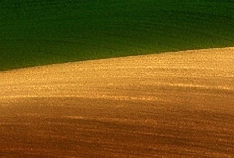 佛山粉象生活合伙人