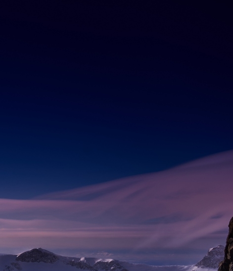 粉象生活下载app