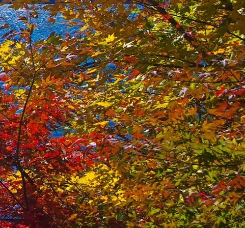 粉象生活返佣是真的吗