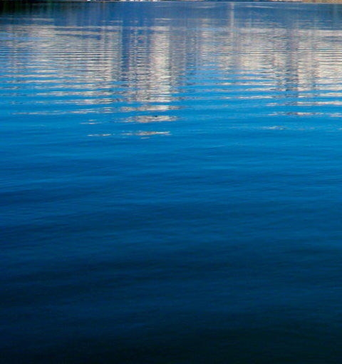 粉象生活下载app