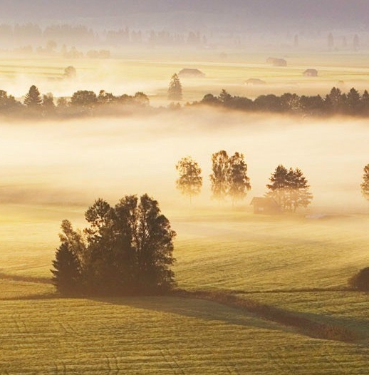 粉象生活靠谱吗合法吗