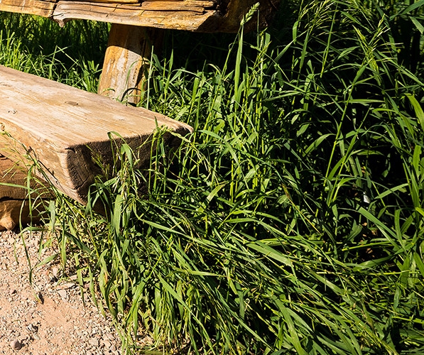 粉象怎么发朋友圈挣钱