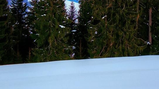 粉象生活等级和佣金