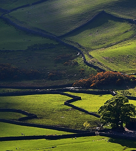 粉象生活的面目