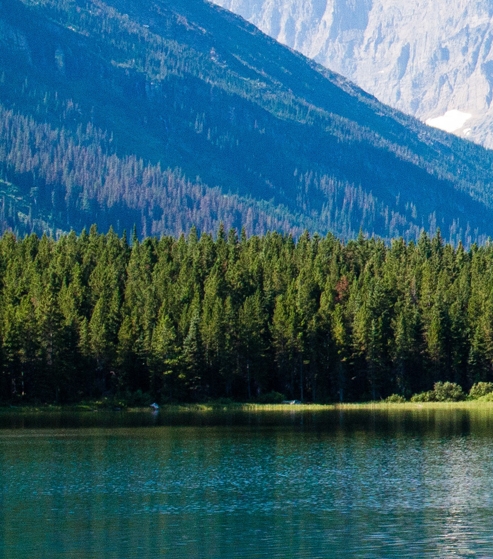 浙江河象网络科技
