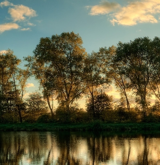 茂名粉象生活如何使用