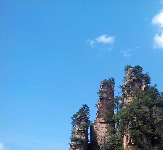 大同粉象生活app