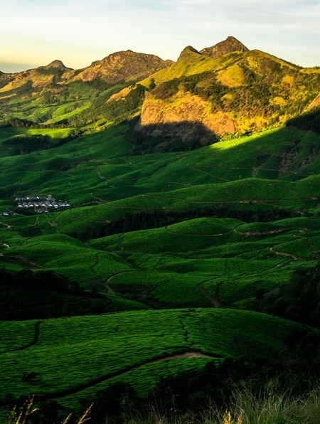 粉象生活赚钱教程
