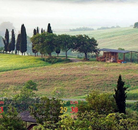 粉象生活的专属粉丝有什么用