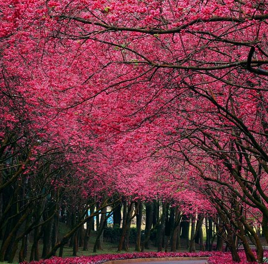 粉象生活北京三元