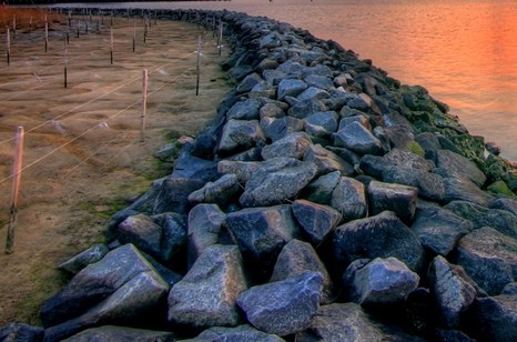 粉象生活官网app下载