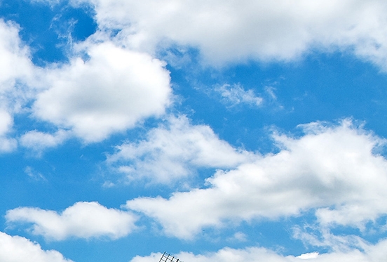 粉象生活副业可信吗