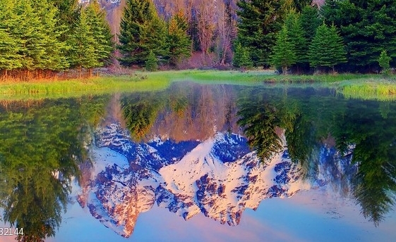 粉象生活是个什么东西