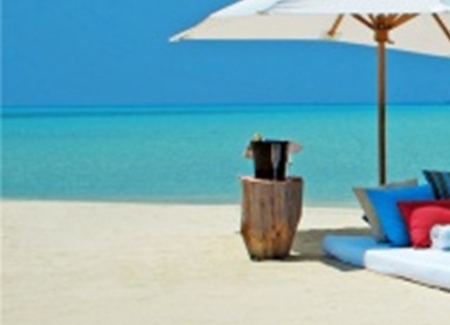 新手粉象生活怎么赚钱