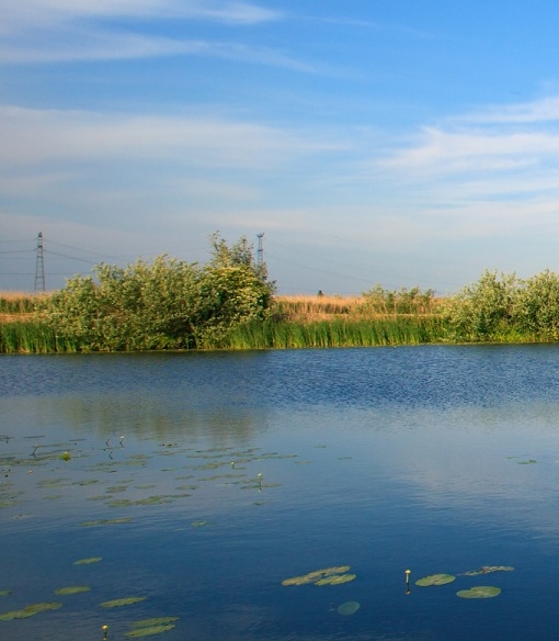 粉象生活可以赚钱吗