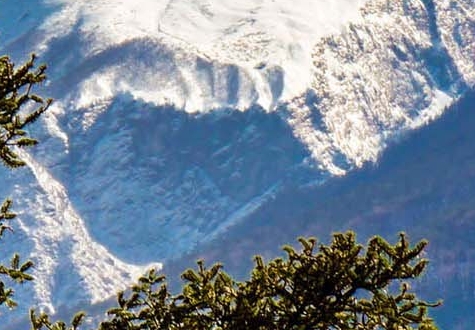 粉象生活收益图解析