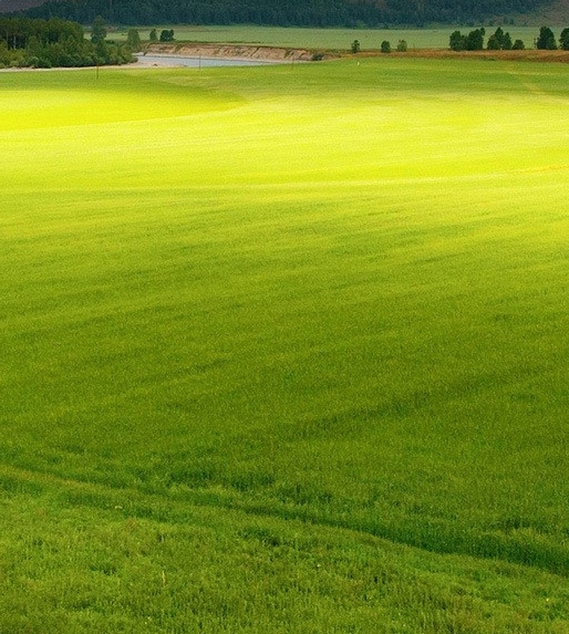 粉象生活挣钱原理