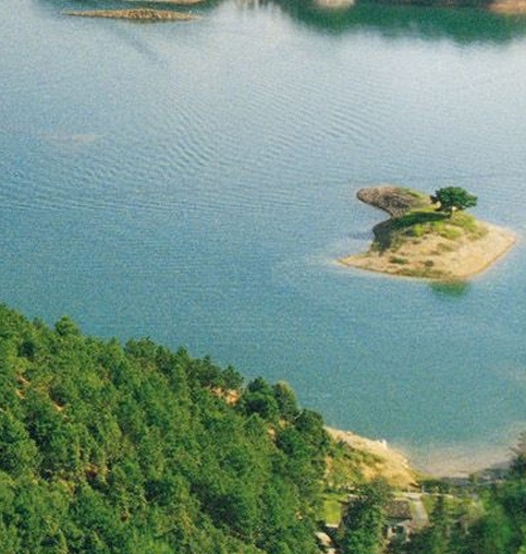 山东临沂封头厂家