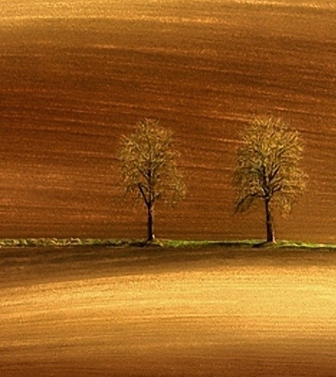 辽宁口碑好的粉象生活推广