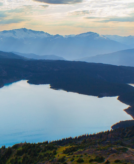 下载粉象生活最新版