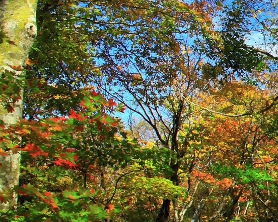 粉象生活新手怎么做