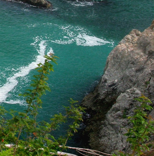 粉象生活商品购买下单图片