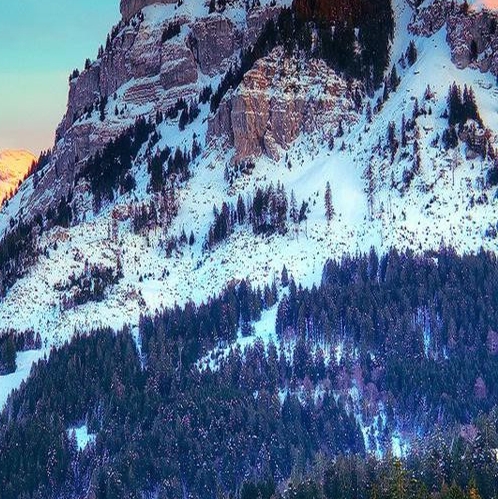 粉象生活直播时间