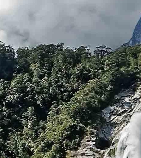 每个人都有不同的轨迹