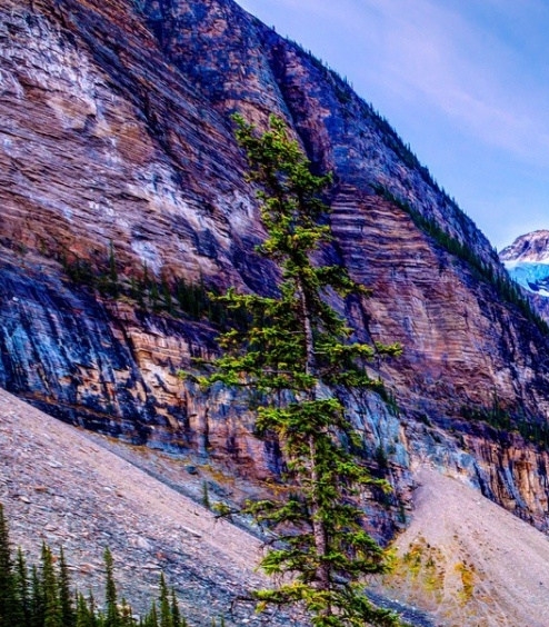 粉象生活东西便宜