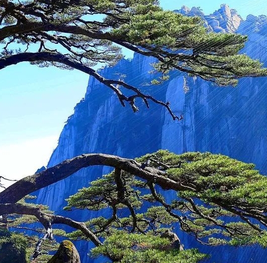 湖北创新粉象生活app