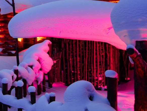 粉象生活下载app