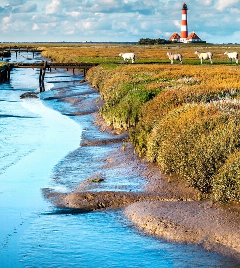 粉象生活下载app