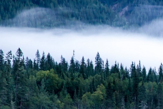 粉象生活app官方