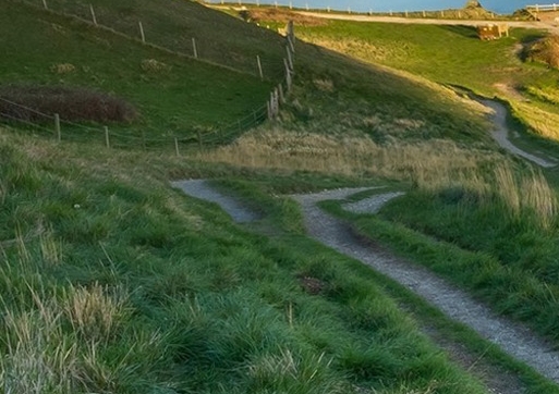 粉象生活杨老师