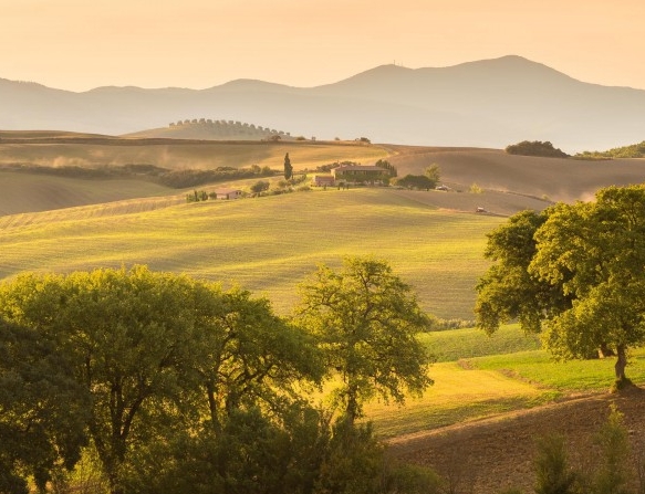 粉象生活分享后怎么没有佣金