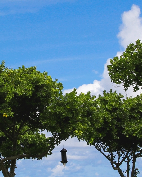 粉象生活是干嘛的