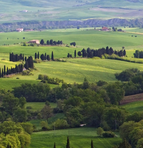 粉象生活要升级挣钱是真的吗