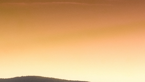 粉象微笑群星演唱会