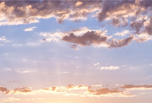 中山粉象生活能拿几代佣金