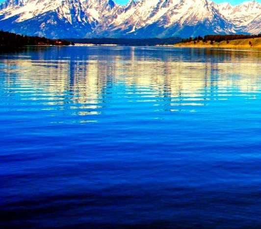 粉象生活天天领现金