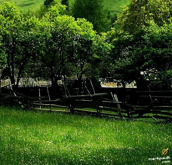 粉象生活改变轨迹