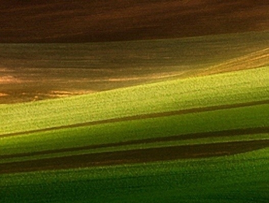 新乡粉象生活加盟